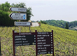 Champagne Trail